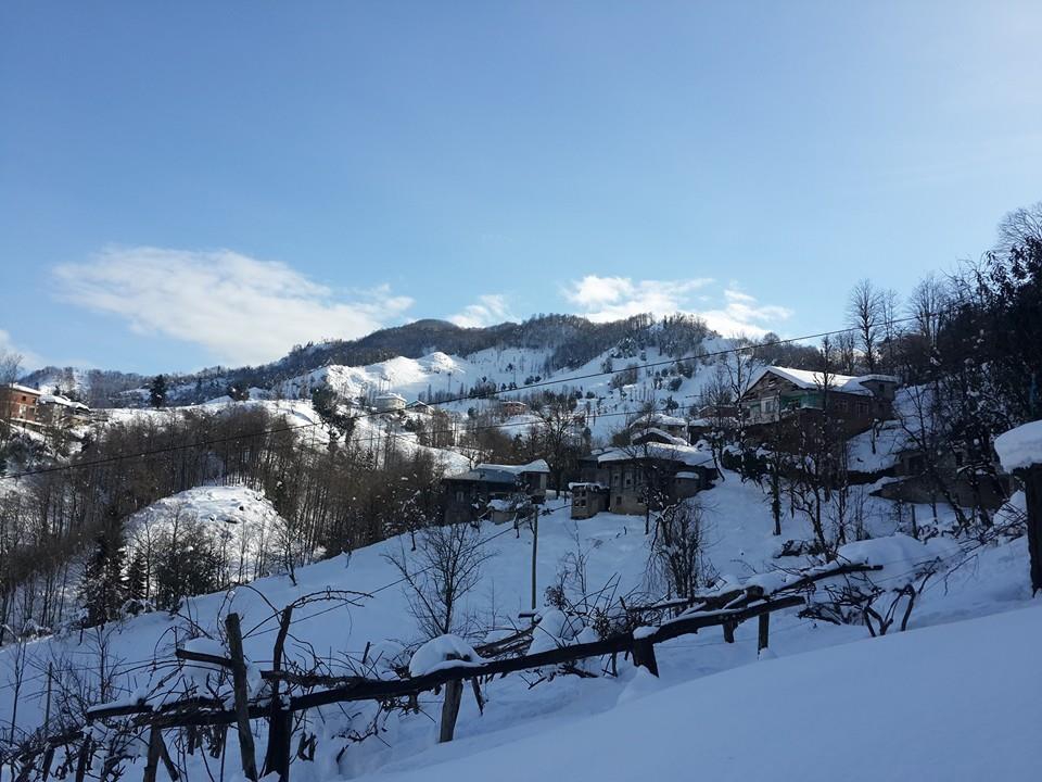 Ardeşen Yeniköy Köyü Resimleri 1