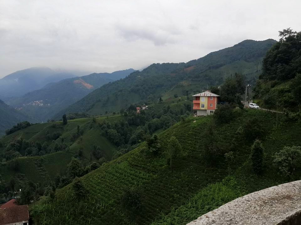 Ardeşen Yeniköy Köyü Resimleri 2