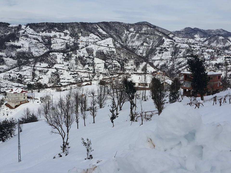 Ardeşen Yeniköy Köyü Resimleri 5