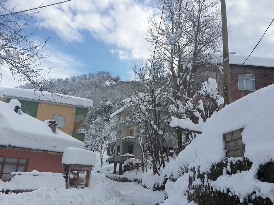 Ardeşen Yeniköy Köyü Resimleri 6