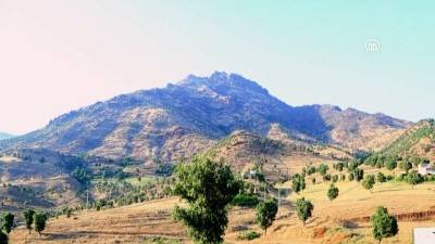 Bitlis Cumhuriyet Köyü Resimleri 4