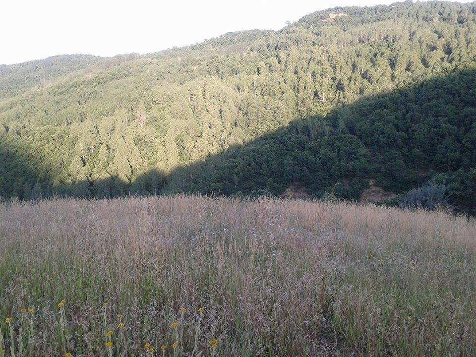 Bitlis Çayırbaşı Köyü Resimleri 1