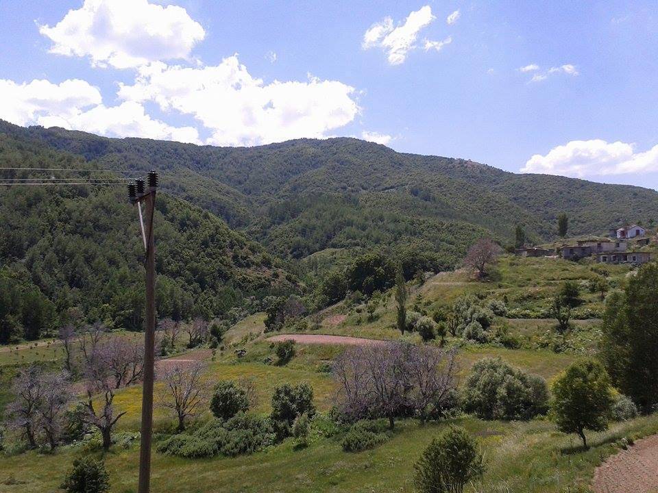 Bitlis Çayırbaşı Köyü Resimleri 2