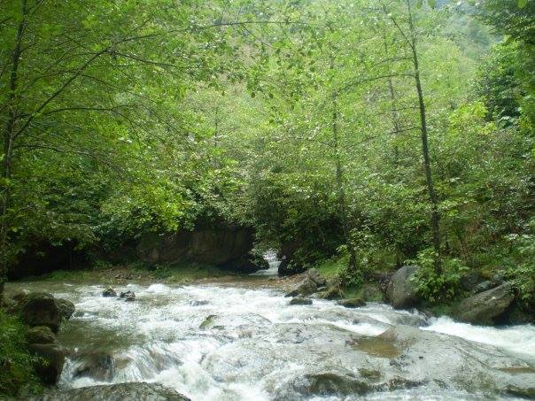 Ardeşen Yeniyol Köyü Resimleri 2