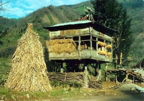 Ardeşen Yeniyol Köyü Resimleri 4