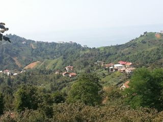 Ardeşen Yeniyol Köyü Resimleri 5