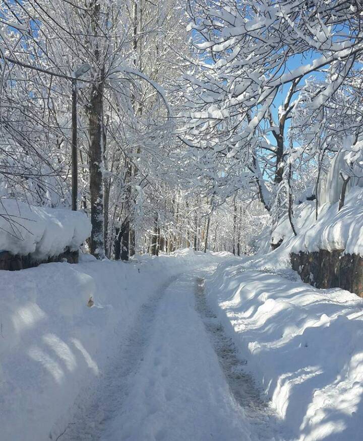 Bitlis Değirmenaltı Köyü Resimleri 1