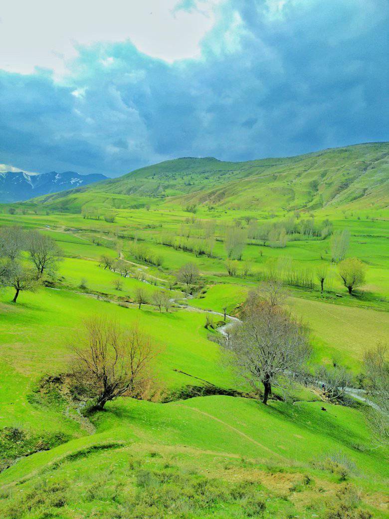 Bitlis Değirmenaltı Köyü Resimleri 11