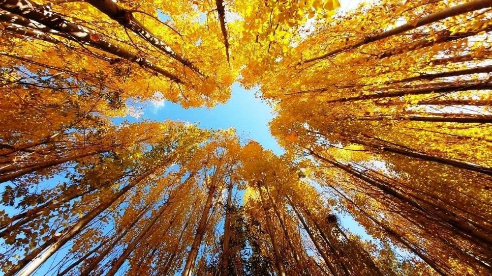 Bitlis Değirmenaltı Köyü Resimleri 15