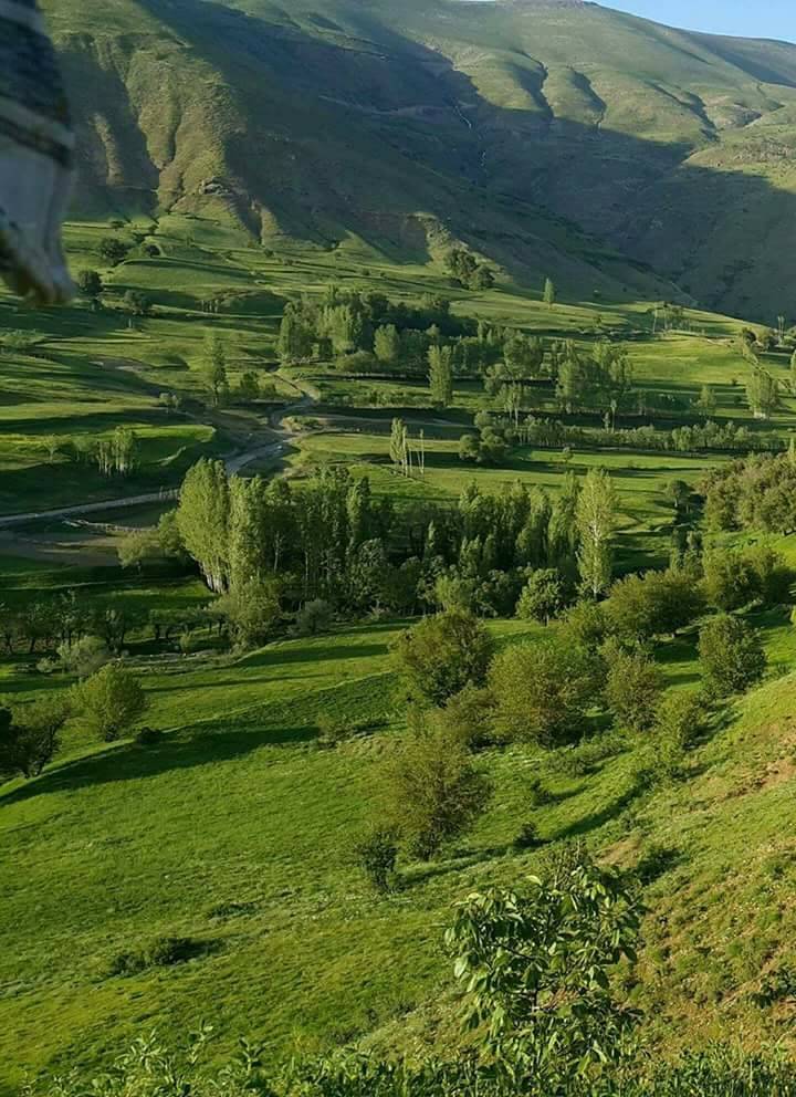 Bitlis Değirmenaltı Köyü Resimleri 5
