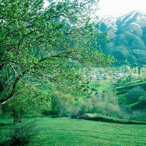 Bitlis Değirmenaltı Köyü Resimleri 8