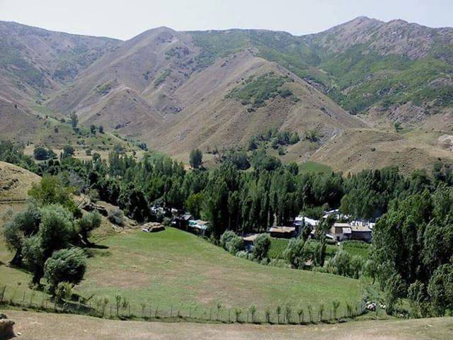 Bitlis Değirmenaltı Köyü Resimleri 9