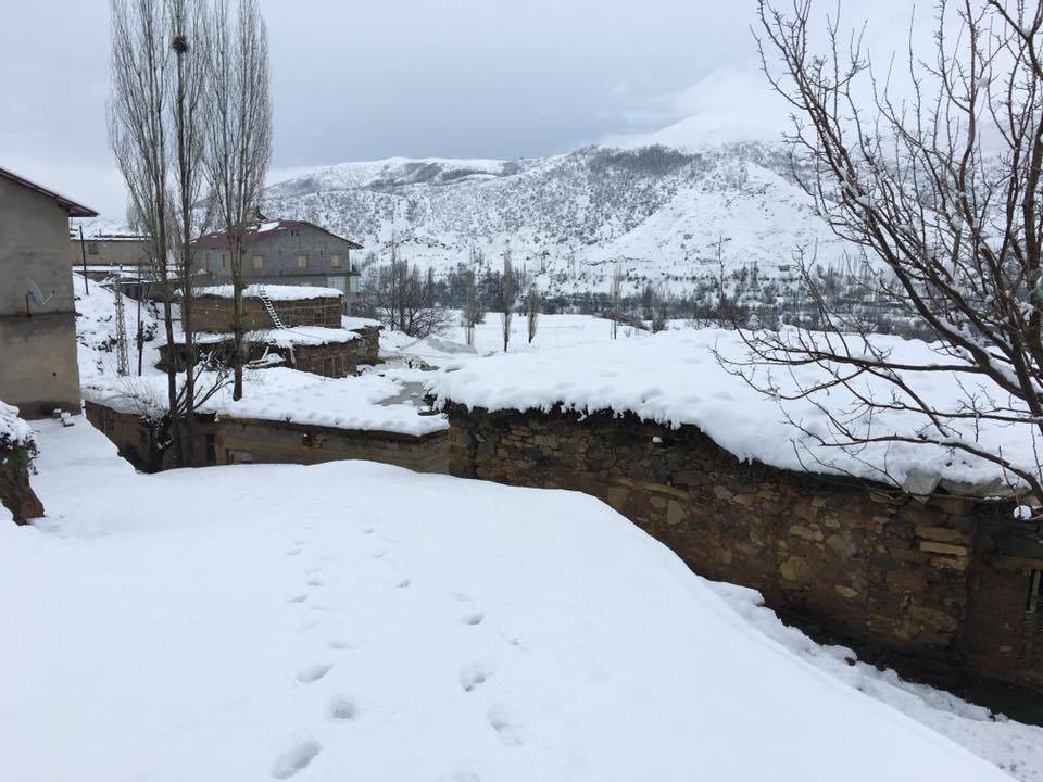 Bitlis Doğruyol Köyü Resimleri 10