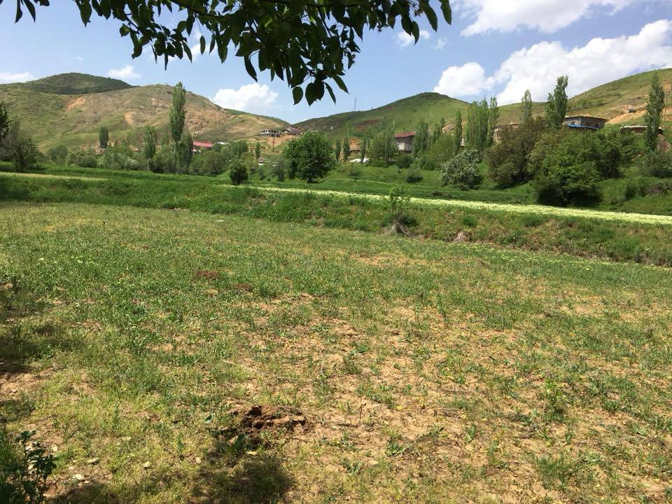 Bitlis Doğruyol Köyü Resimleri 11