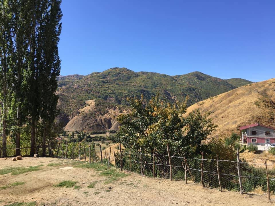 Bitlis Doğruyol Köyü Resimleri 13