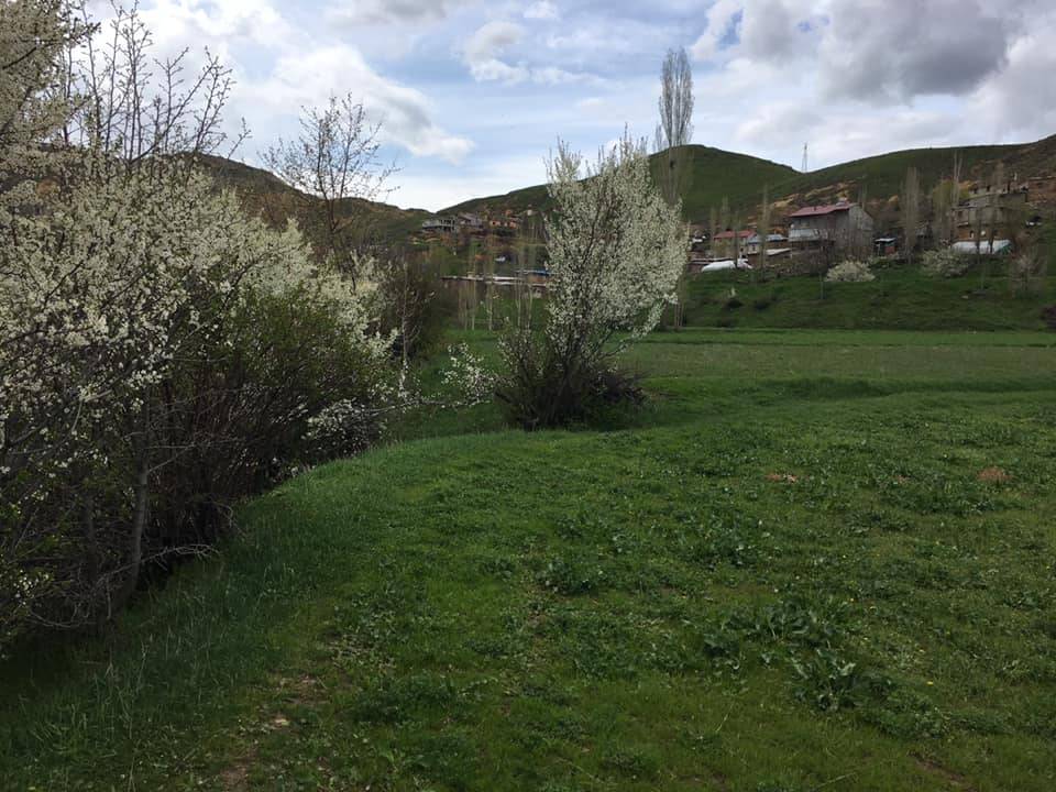 Bitlis Doğruyol Köyü Resimleri 15