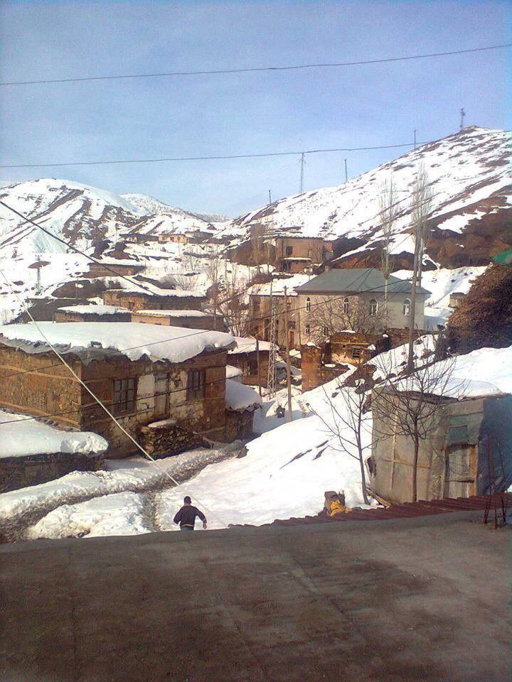 Bitlis Doğruyol Köyü Resimleri 7