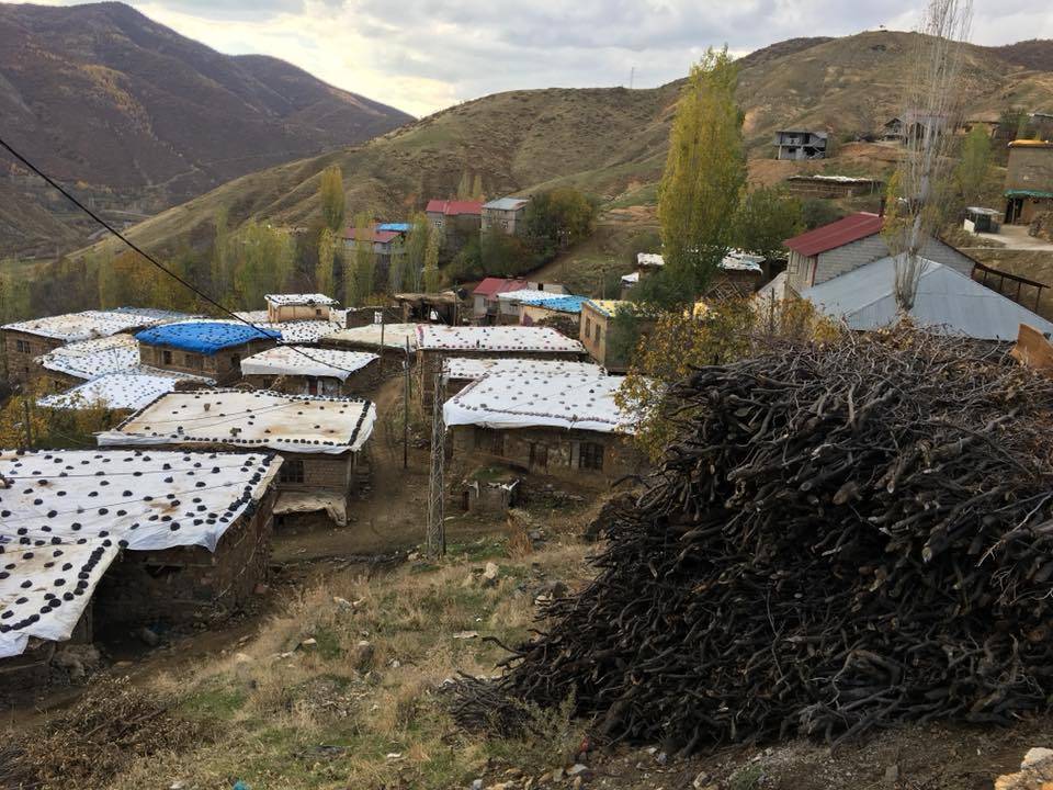 Bitlis Doğruyol Köyü Resimleri 8