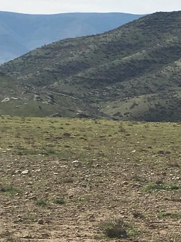 Beşiri Alaca Köyü Resimleri 11