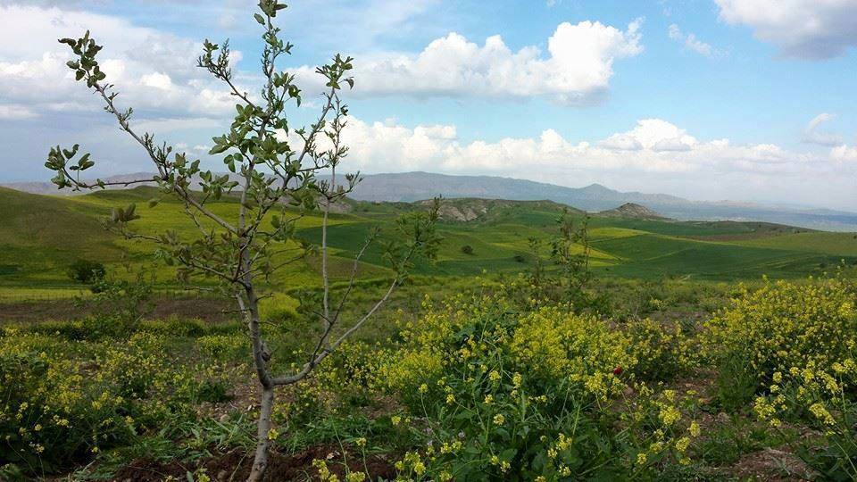 Beşiri Alaca Köyü Resimleri 3