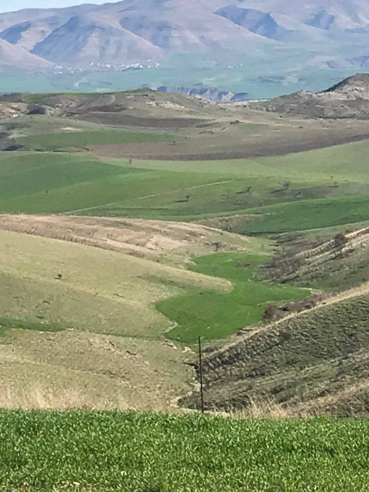 Beşiri Alaca Köyü Resimleri 4