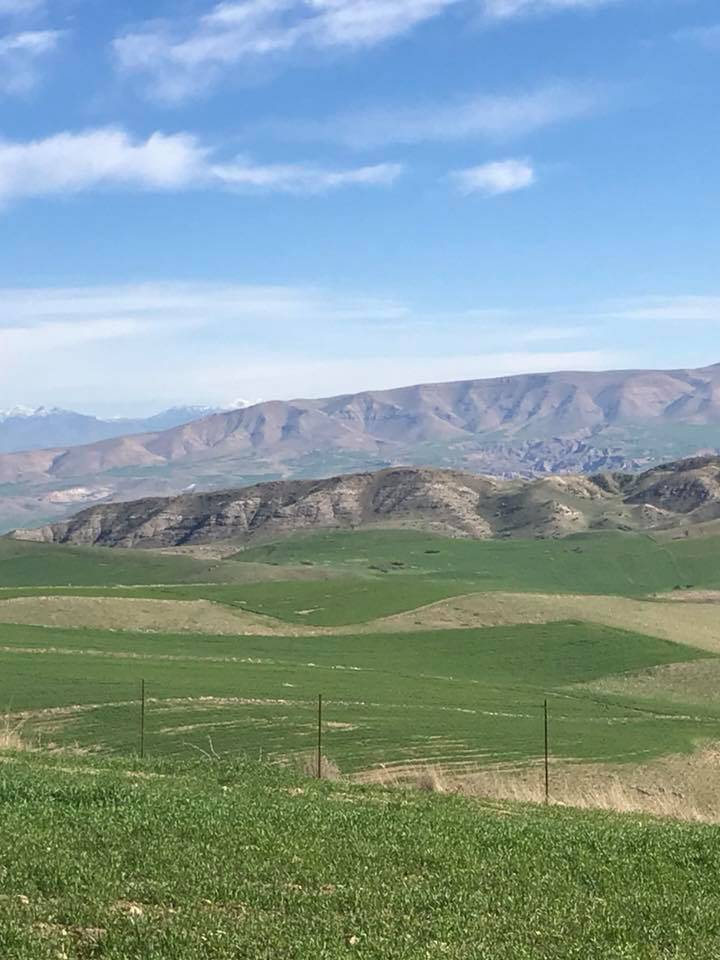 Beşiri Alaca Köyü Resimleri 5