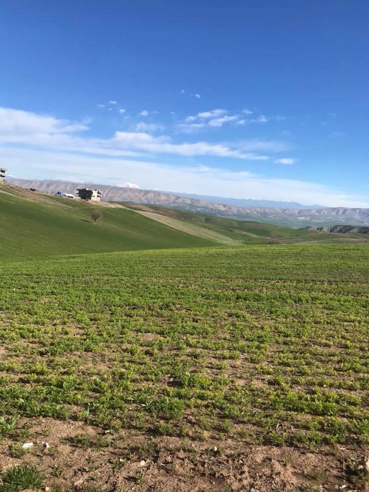 Beşiri Alaca Köyü Resimleri 6