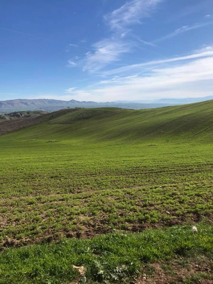 Beşiri Alaca Köyü Resimleri 7