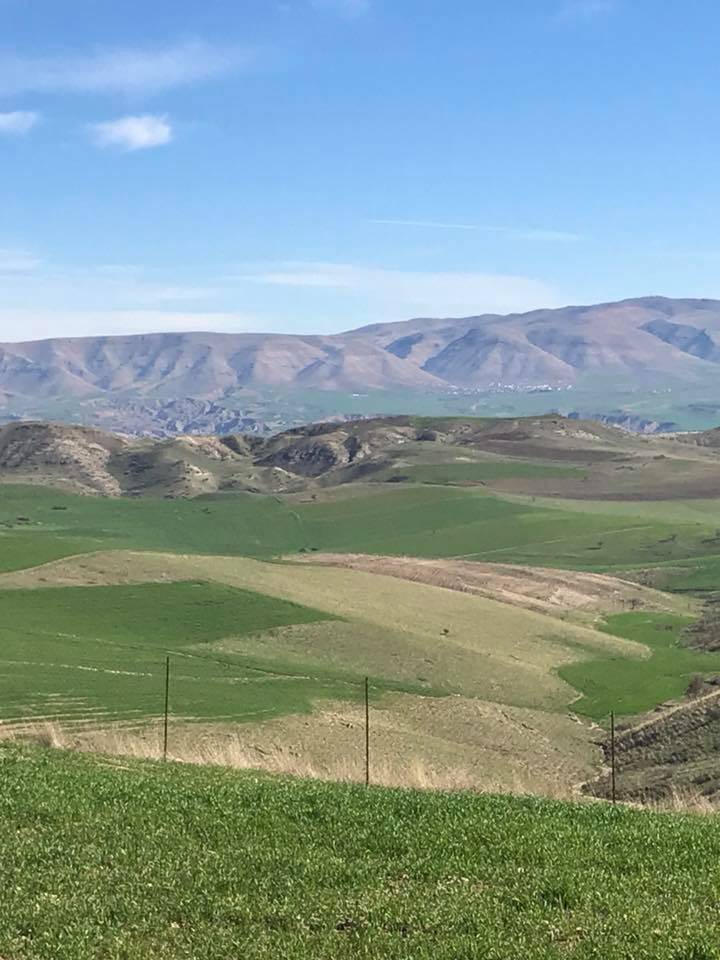 Beşiri Alaca Köyü Resimleri 8