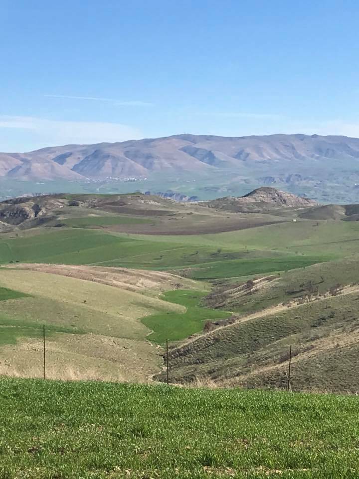 Beşiri Alaca Köyü Resimleri 9