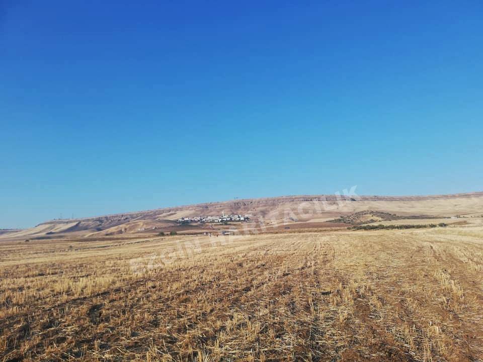 Beşiri Ayrancı Köyü Resimleri 2