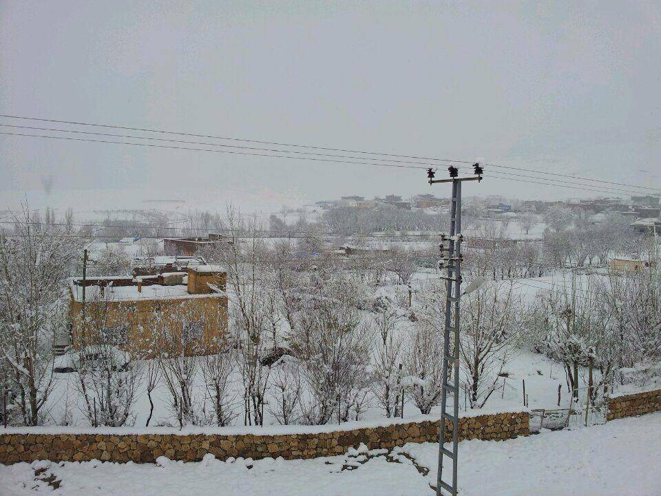 Beşiri Beşpınar Köyü Resimleri 1