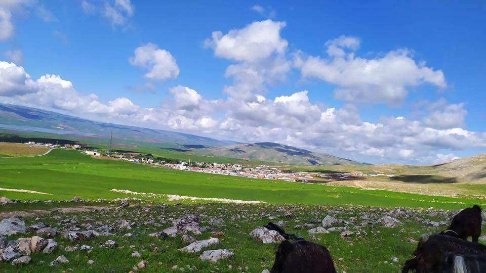 Beşiri Beşpınar Köyü Resimleri 10