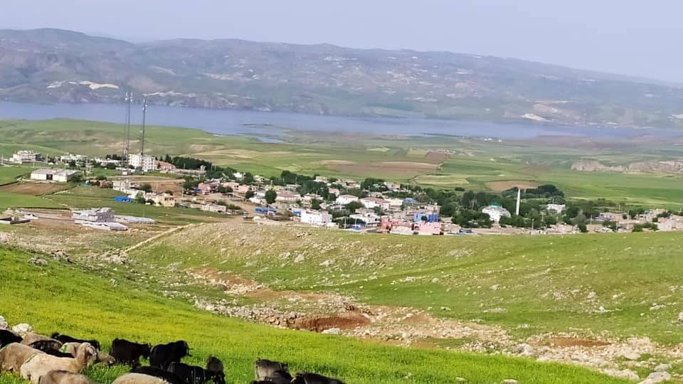 Beşiri Beşpınar Köyü Resimleri 11