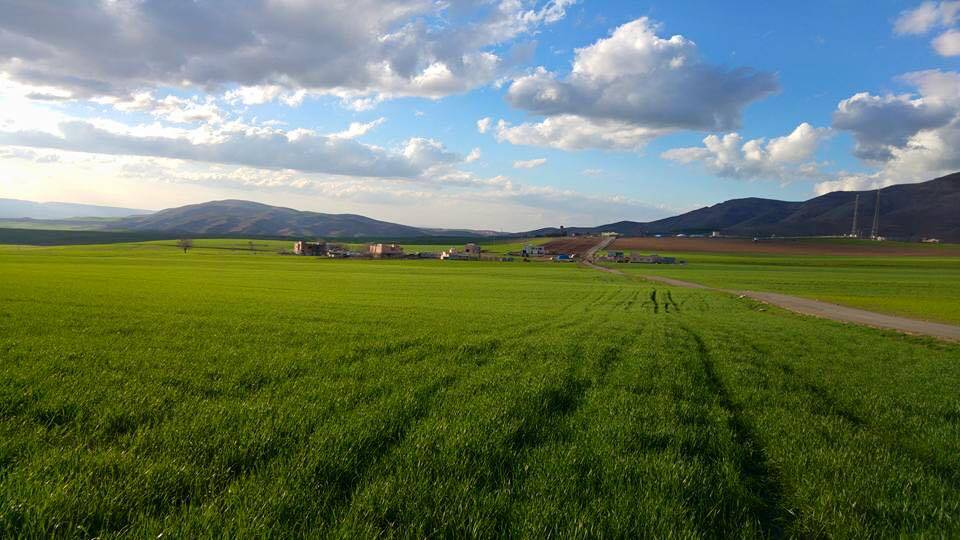 Beşiri Beşpınar Köyü Resimleri 4