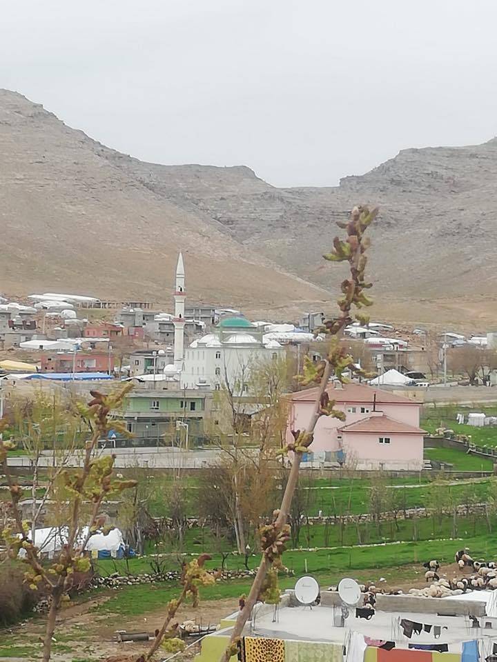 Beşiri Beşpınar Köyü Resimleri 7