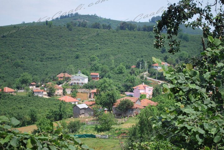 Kocaali Şerbetpınarı Köyü Resimleri 10