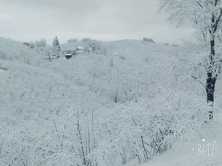 Kocaali Şerbetpınarı Köyü Resimleri 5