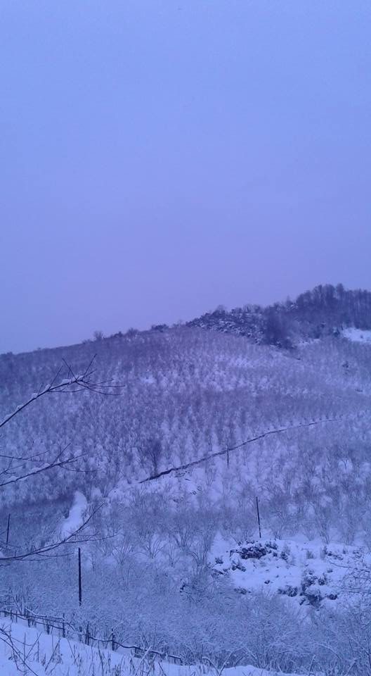 Kocaali Şerbetpınarı Köyü Resimleri 7