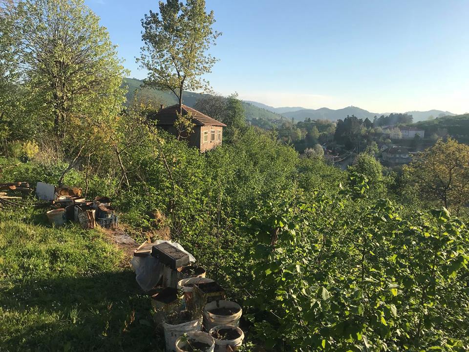 Kocaali Şerbetpınarı Köyü Resimleri 8