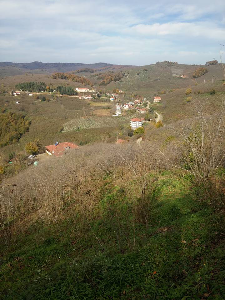 Kocaali Şerbetpınarı Köyü Resimleri 9