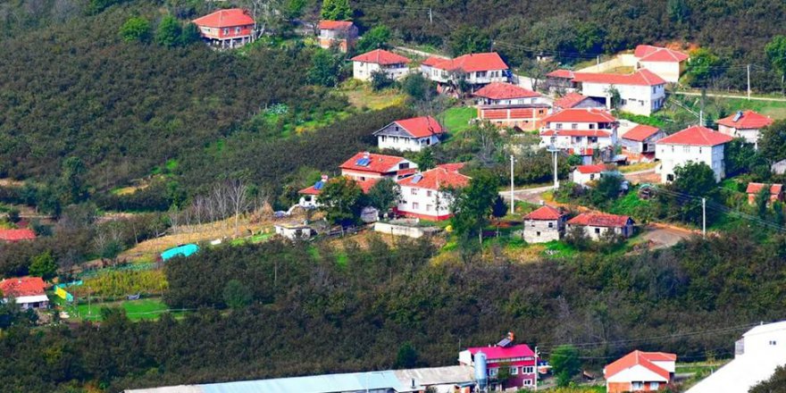 Kocaali Şerbetpınarı Köyü Resimleri