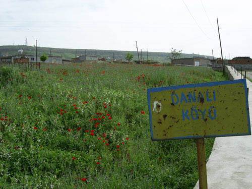 Beşiri Danalı Köyü Resimleri 1