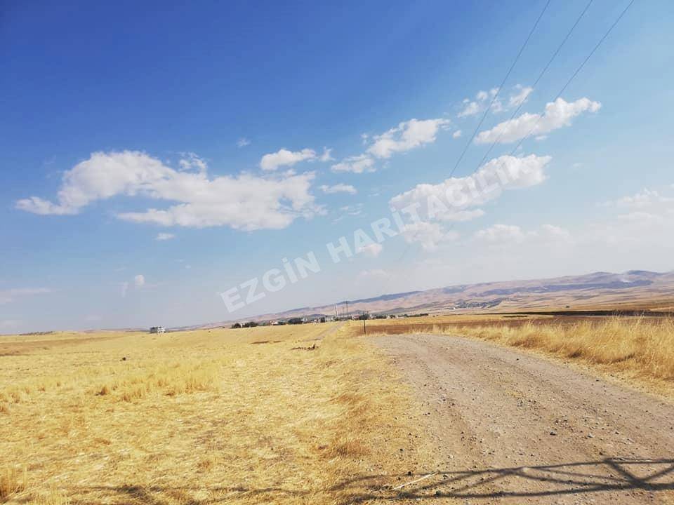 Beşiri Danalı Köyü Resimleri 2