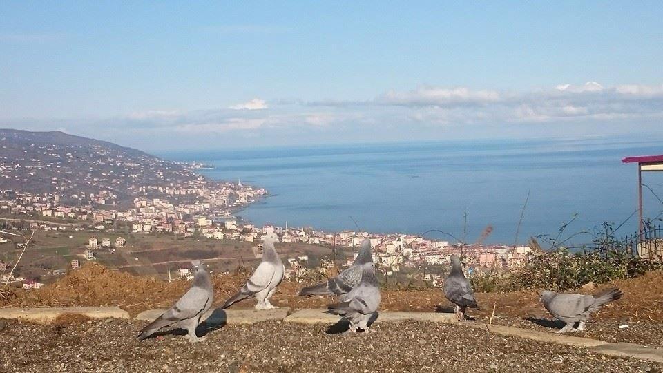 Kocaali Yalpankaya Köyü Resimleri 7