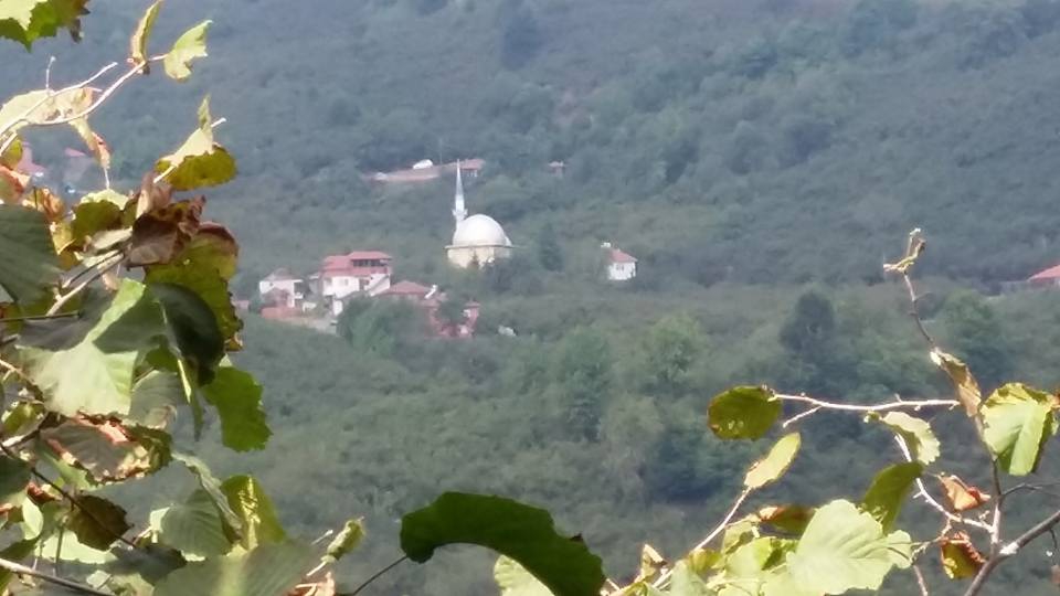 Kocaali Yanıksayvant Köyü Resimleri 2