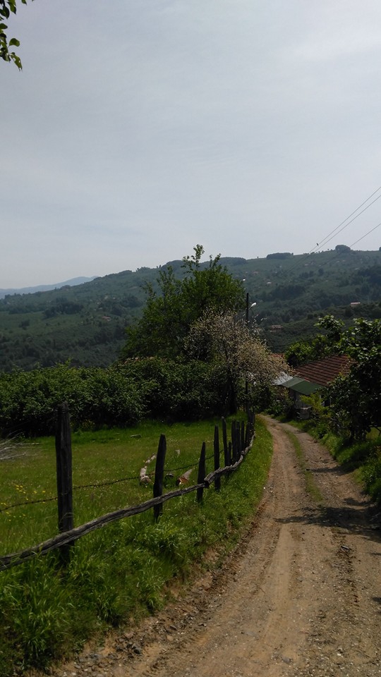 Kocaali Yanıksayvant Köyü Resimleri 3