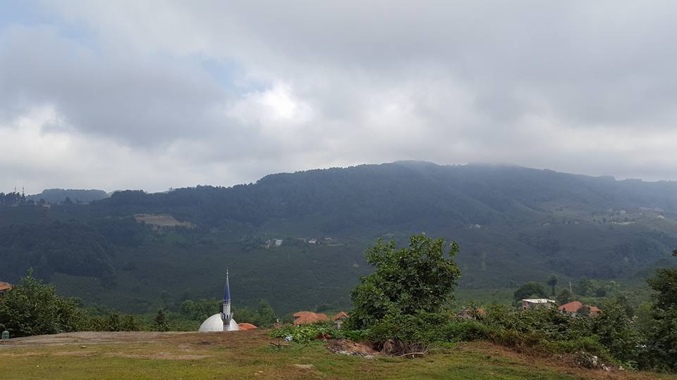 Kocaali Yanıksayvant Köyü Resimleri 4