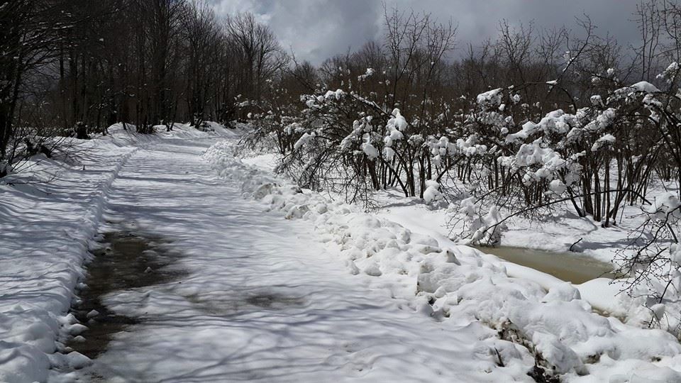 Kocaali Yanıksayvant Köyü Resimleri 6