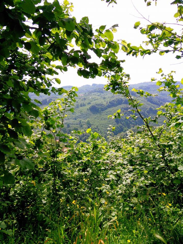 Kocaali Yanıksayvant Köyü Resimleri 7